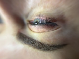 img_9760.jpg